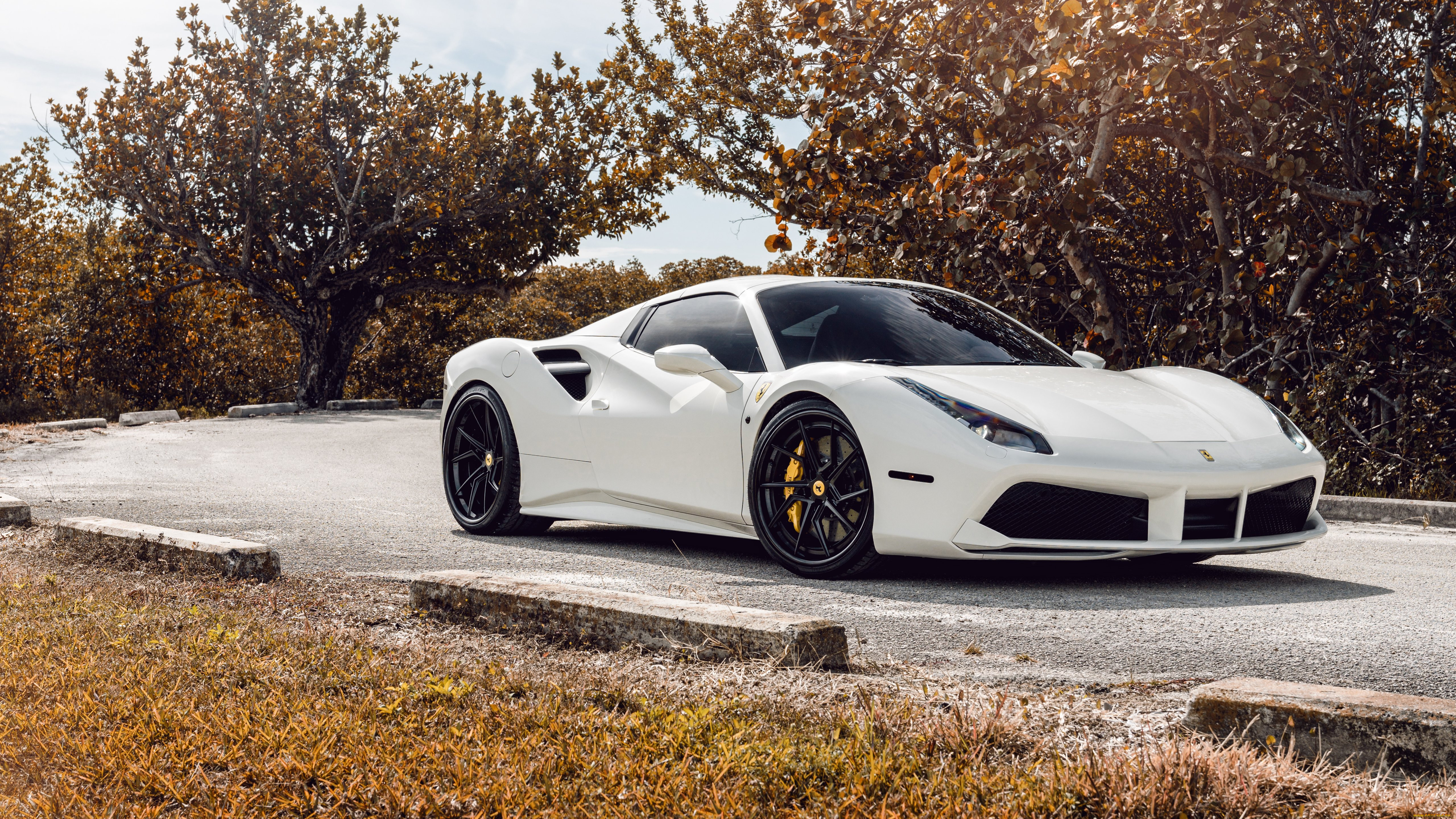 , ferrari, 488